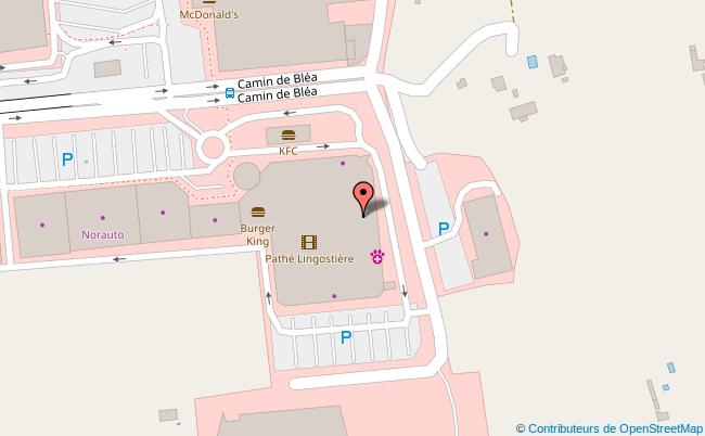 plan Palais Nikaïa Nice