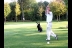Golf De Lanniron