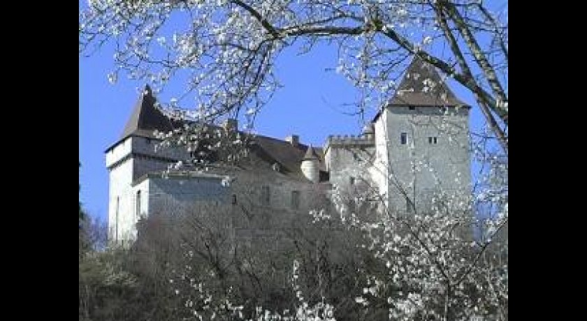 Hotel Château De Goudourville  Valence