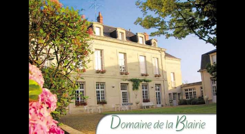 Hotel Domaine De La Blairie  Saint-martin-de-la-place