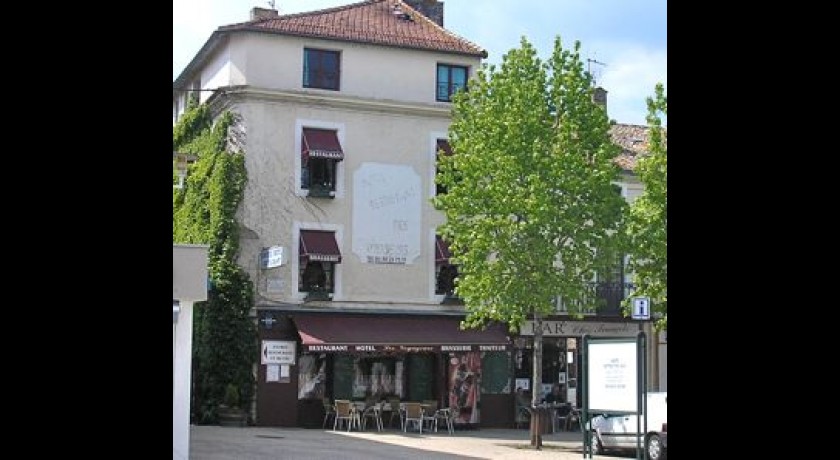 Hotel Des Voyageurs  Chef-boutonne