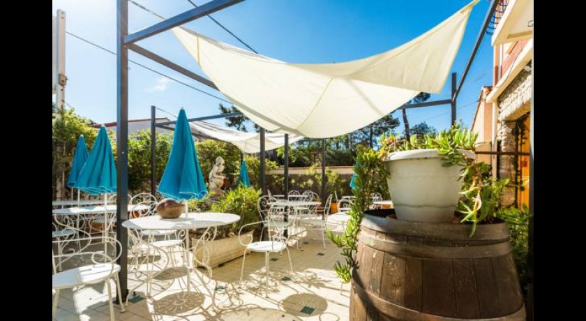 Hotel Les Charmettes Argeles Sur Mer Hotel Les Charmettes Argeles Sur Mer
