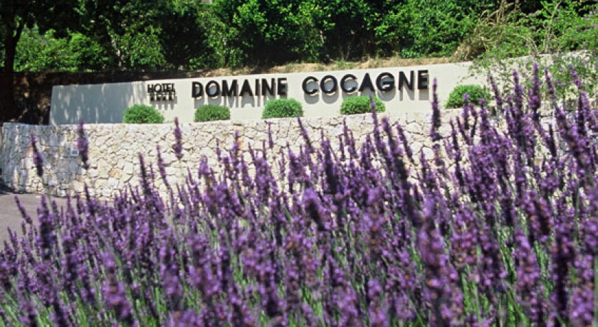 Hotel Sandton Domaine Cocagne  Cagnes-sur-mer