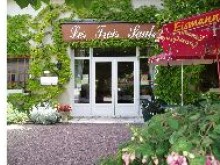 Hotel Les Trois Saules