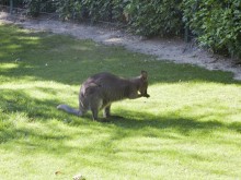 Timhotel Jardin Des Plantes