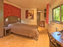 Hôtel Le Dauphin Blanc  Saint-ismier