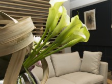 Hotel Albert 1er   Paris