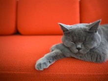 Résidence Apparthôtel Pierre & Vacances City Bercy  Paris