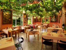Hotel Restaurant Des Vosges