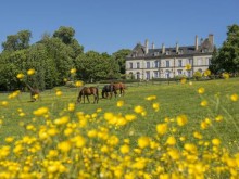 Hotel Château D'ygrande