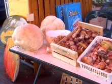 Hotel Brasserie Le Chateau