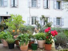 Hotel Maison Bonne La Vie