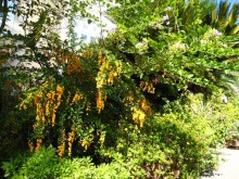 Hotel Résidence Costeur Solviane