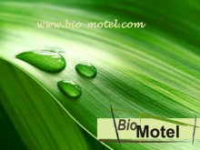 Bio-motel