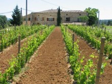 Domaine De L'escapade