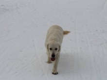 Résidence Les Clairmontelles  Le Poizat