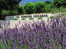 Hotel Sandton Domaine Cocagne