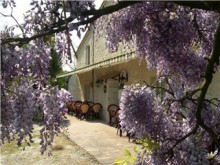Hôtel-restaurant L'auberge Des Glycines