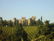 Hotel Hostellerie Château Fines Roches  Châteauneuf-du-pape