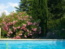 Hotel Hostellerie Du Moulin De La Roque  Althen-des-paluds