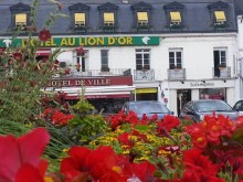 Hôtel Au Lion D'or