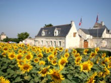 Hotel Auberge De La Sansonniere