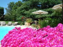 Hotel Le Mas Des Brugassieres