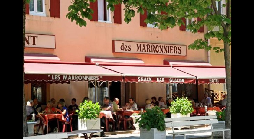 Hotel Des Marronniers  Thueyts
