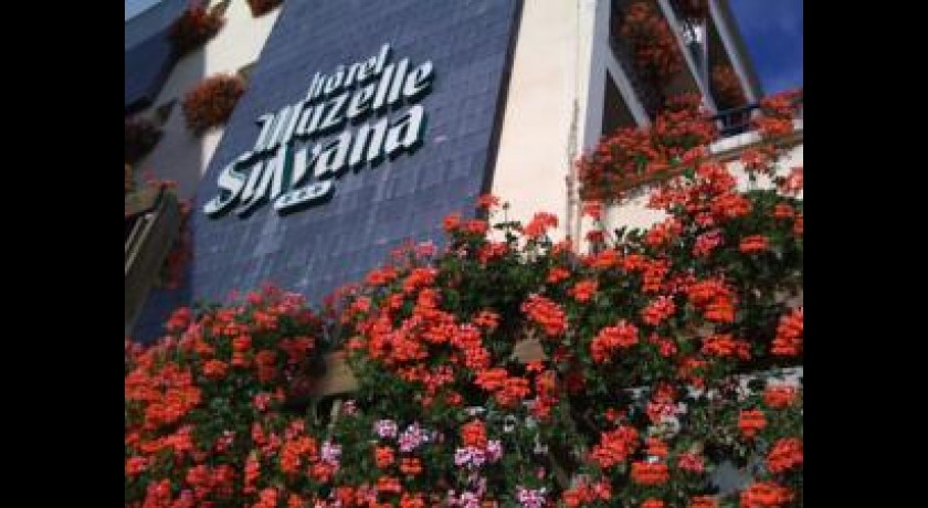 Hôtel Muzelle Sylvana  Les-deux-alpes