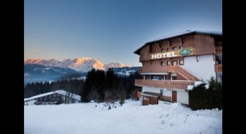 Chalet Hôtel Alpen Valley  Combloux