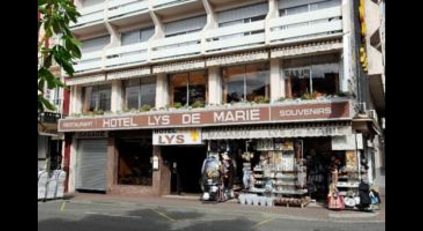 Hotel Lys De Marie  Lourdes