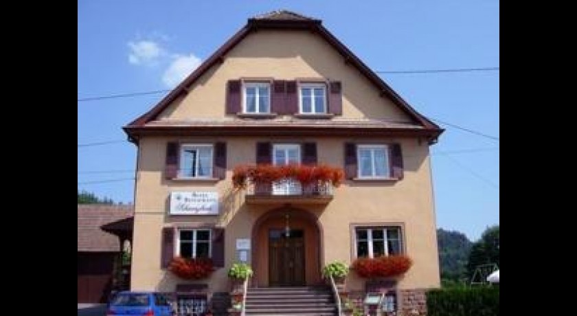 Hôtel Schwarzbach  Dambach