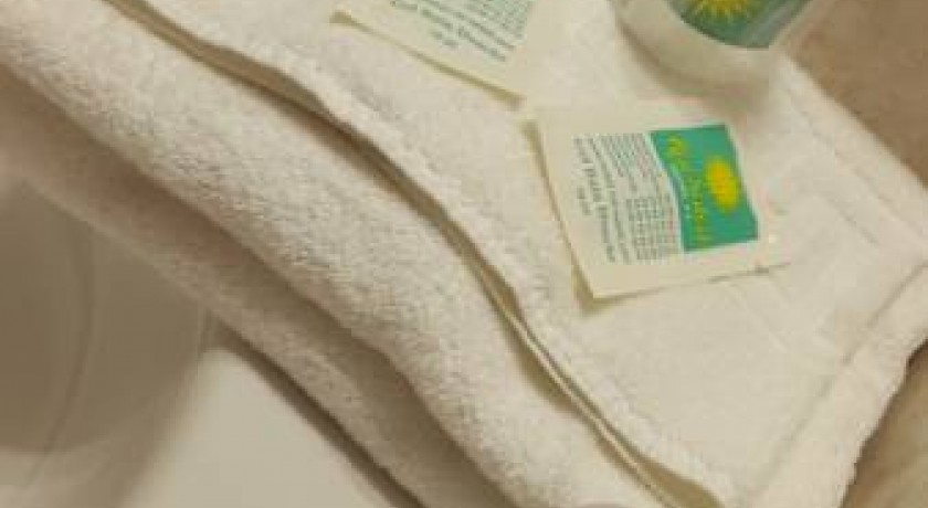 Hotel Roi Soleil  Colmar