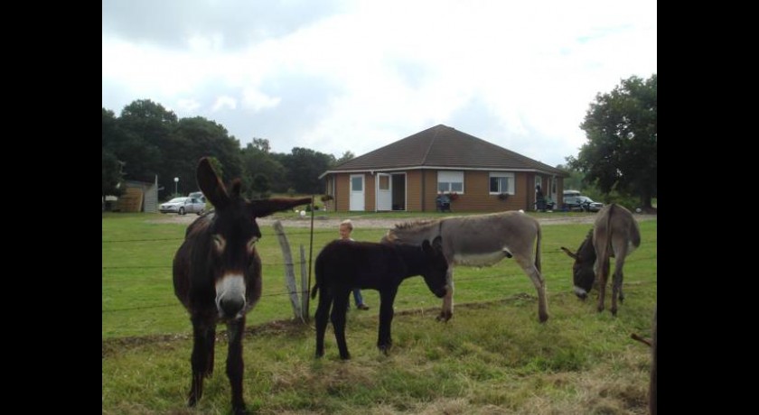 Hôtel Floritel  Tourville-la-rivière