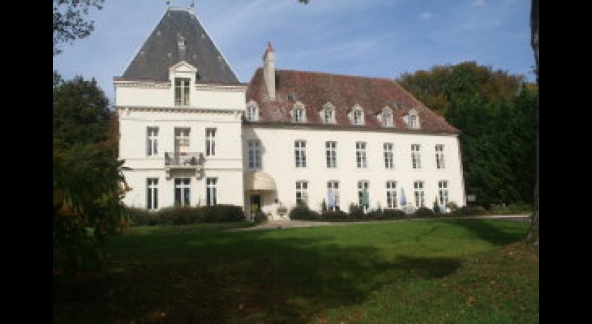 Hotel Château De Malaisy  Montbard
