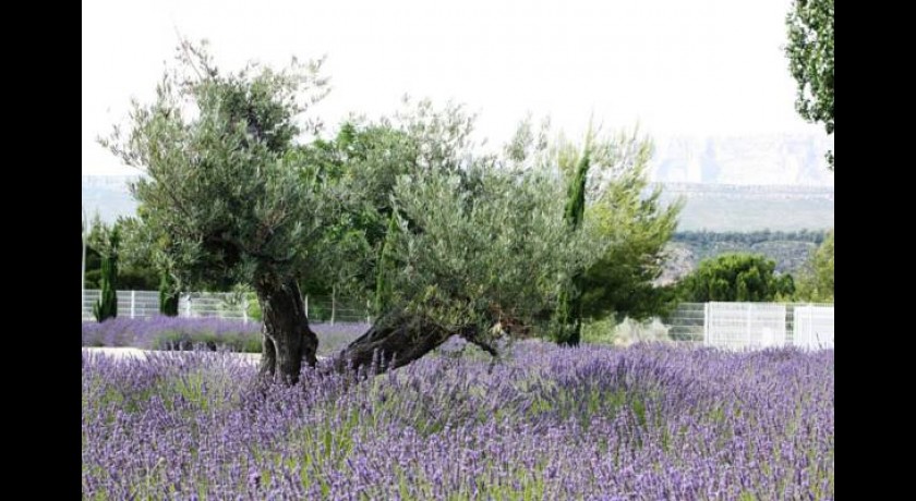 Hotel Mona Lisa Ste Victoire  Fuveau
