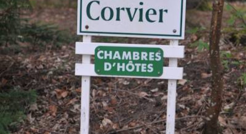 Hotel Château Du Corvier  Vouzon