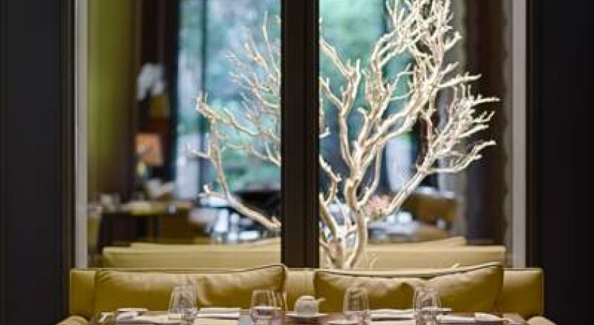 Hotel Royal Monceau  Paris