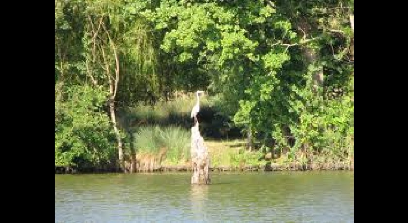 Résidence Terres De France - Natura Resort Pescalis  Moncoutant