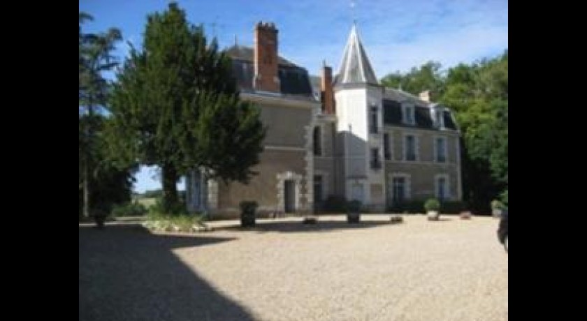 Hotel Chateau De Chanteloire  Chouzy-sur-cisse