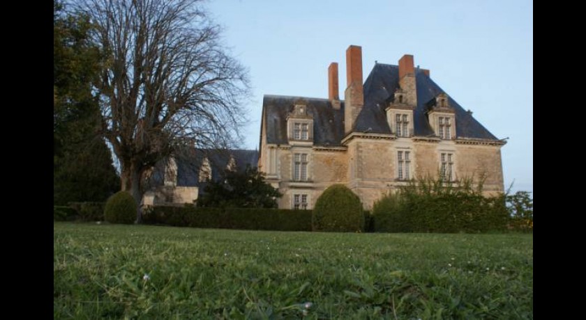 Hotel Château De Durtal 