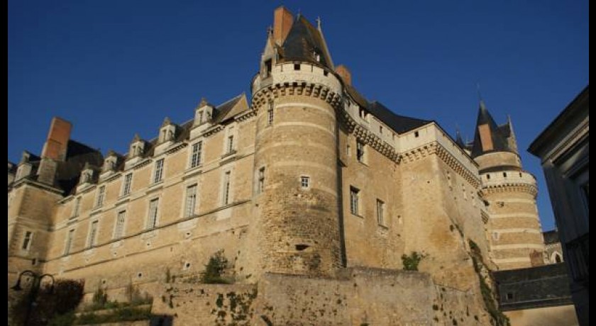 Hotel Château De Durtal 