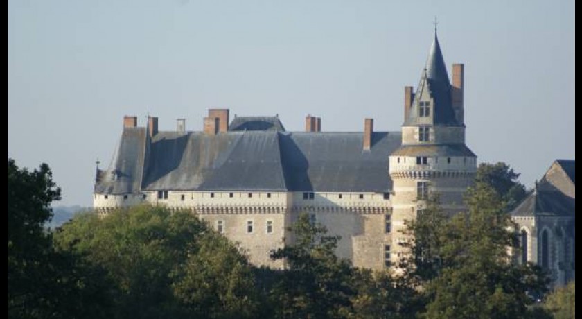 Hotel Château De Durtal 