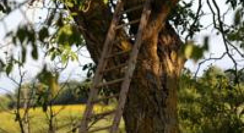 Logis Hotel Le Domaine De Baulieu  Auch