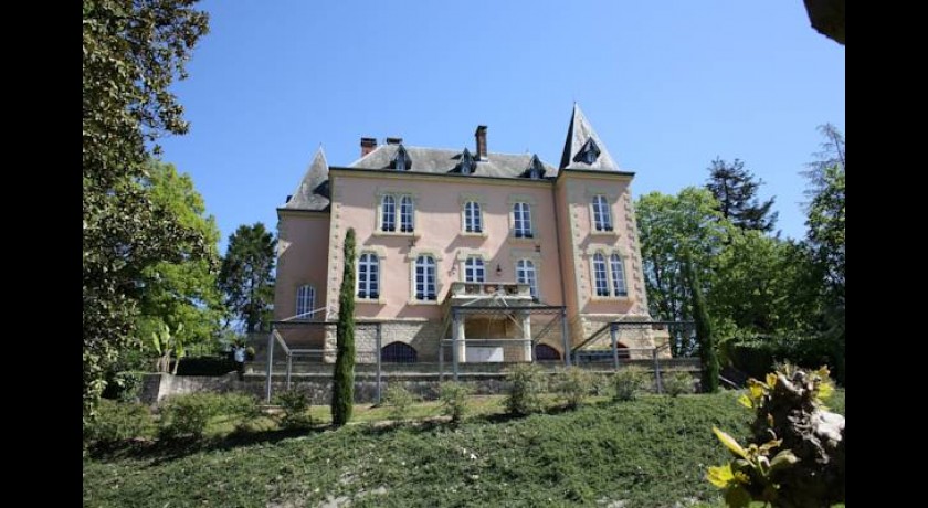 Hotel Chateau Du Bois Noir  Perpezac-le-blanc