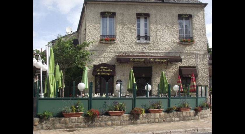 Hotel Le Sauvage  Château-renard