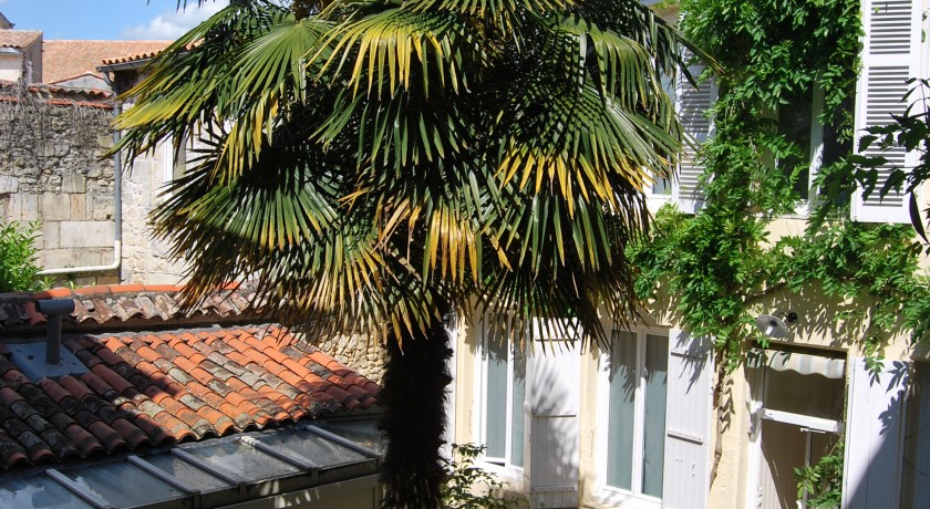 Hotel Roca Fortis  Rochefort