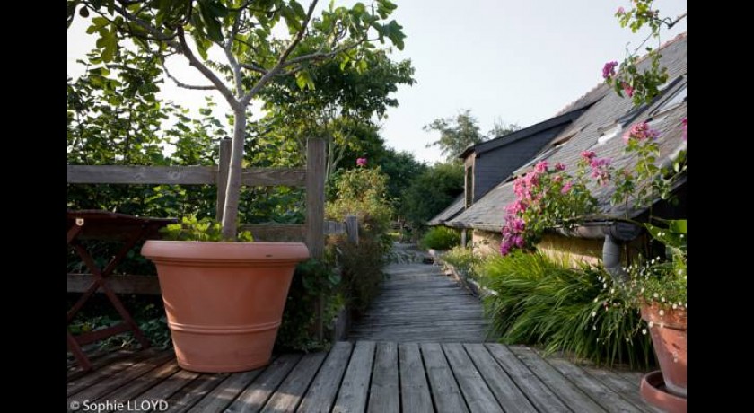 Résidence La Maison Des Lamour  Plélo