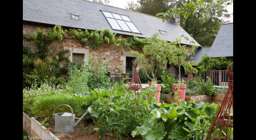 Résidence La Maison Des Lamour  Plélo