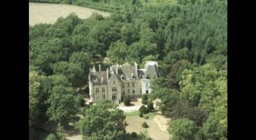 Château Des Réaux  Le chautay